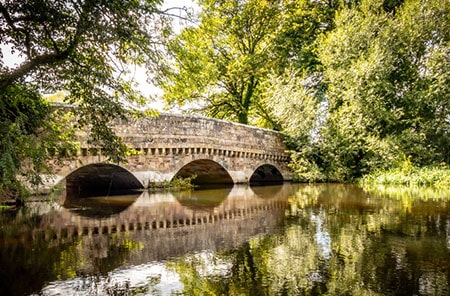 Insurance broker Ringwood
